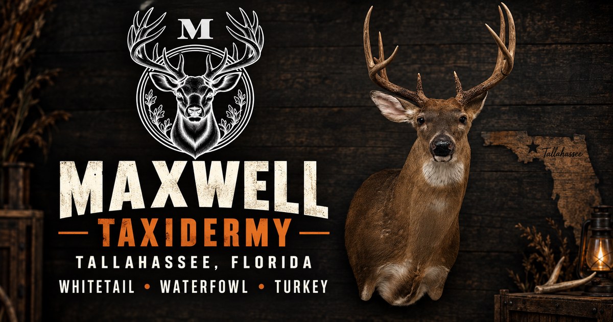Maxwell Taxidermy website screenshot